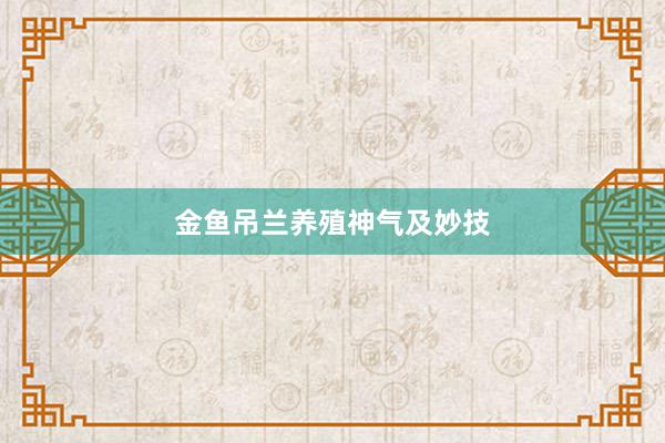金鱼吊兰养殖神气及妙技