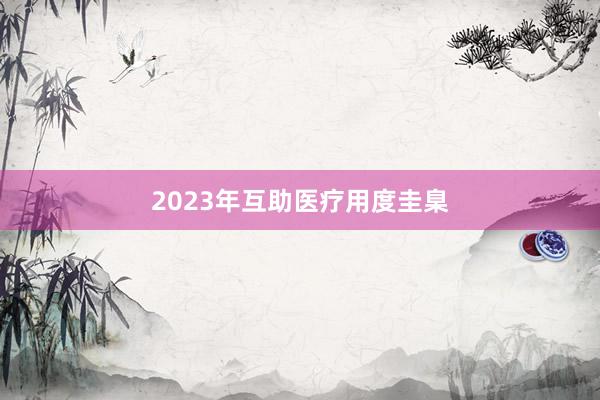 2023年互助医疗用度圭臬