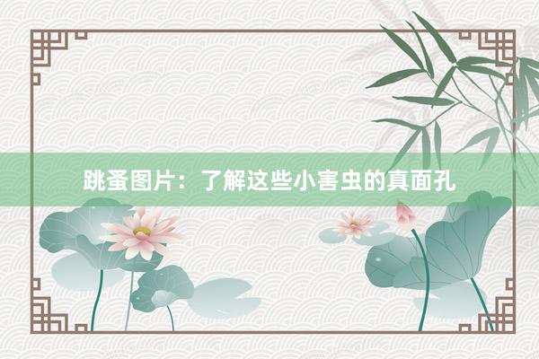 跳蚤图片：了解这些小害虫的真面孔