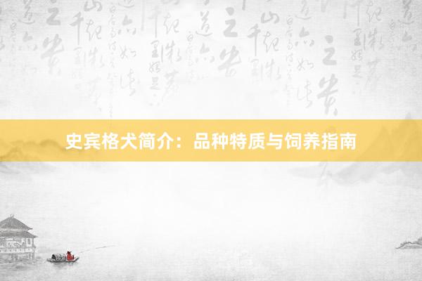 史宾格犬简介：品种特质与饲养指南