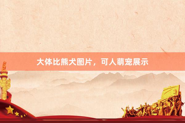 大体比熊犬图片，可人萌宠展示
