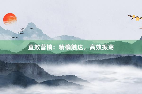 直效营销：精确触达，高效振荡